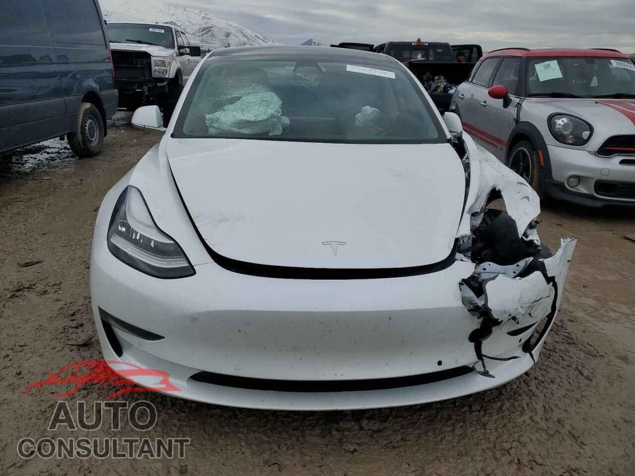 TESLA MODEL 3 2019 - 5YJ3E1EB3KF511303