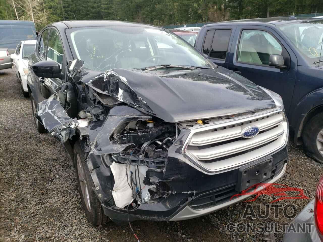 FORD ESCAPE 2019 - 1FMCU9GD4KUB29042