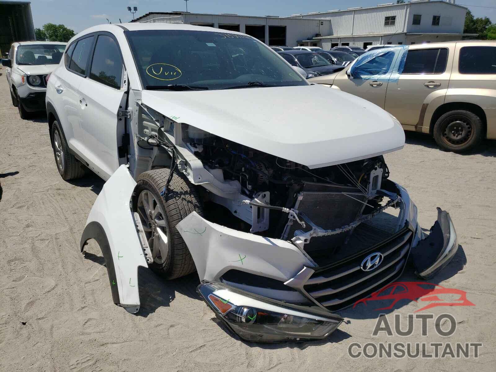 HYUNDAI TUCSON 2017 - KM8J23A41HU564399
