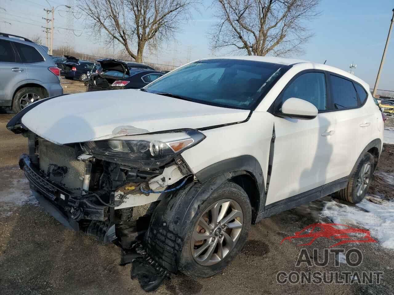 HYUNDAI TUCSON 2017 - KM8J23A45HU285960