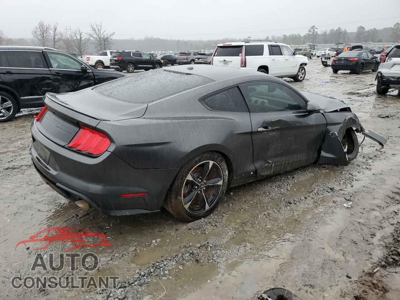 FORD MUSTANG 2019 - 1FA6P8THXK5191105