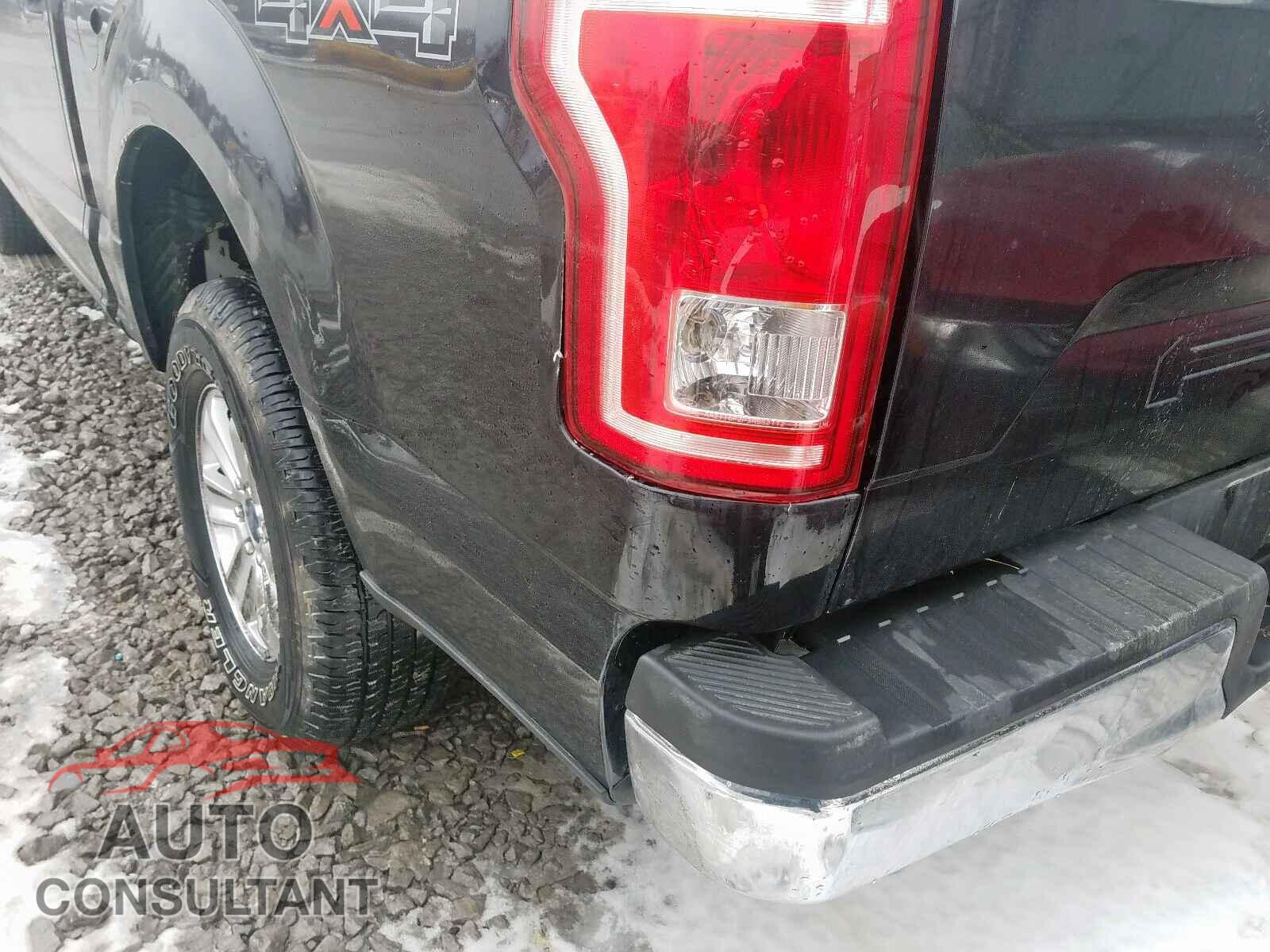 FORD F150 2019 - 1FA6P8AM8G5225727