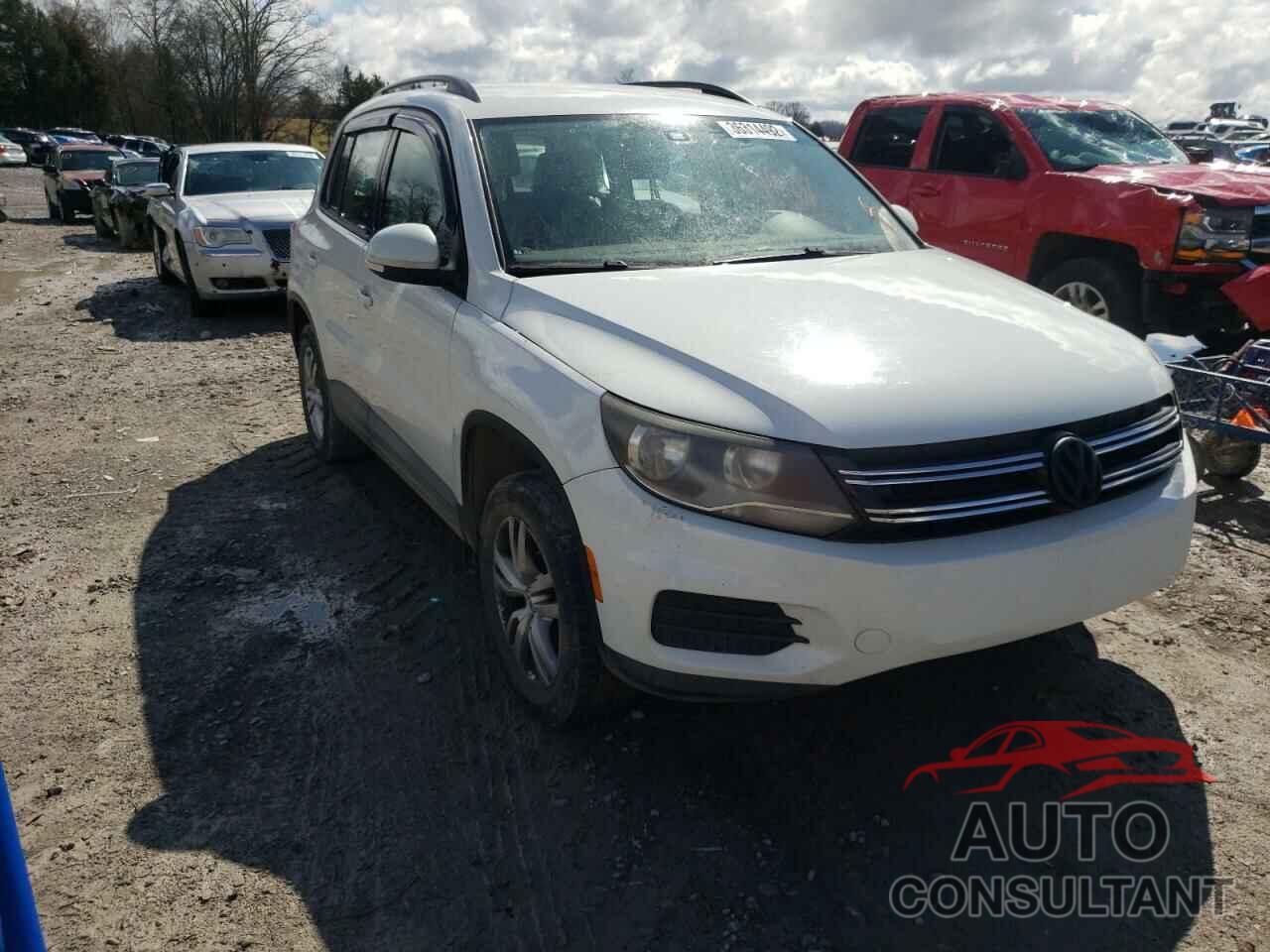 VOLKSWAGEN TIGUAN 2016 - WVGAV7AX8GW531685