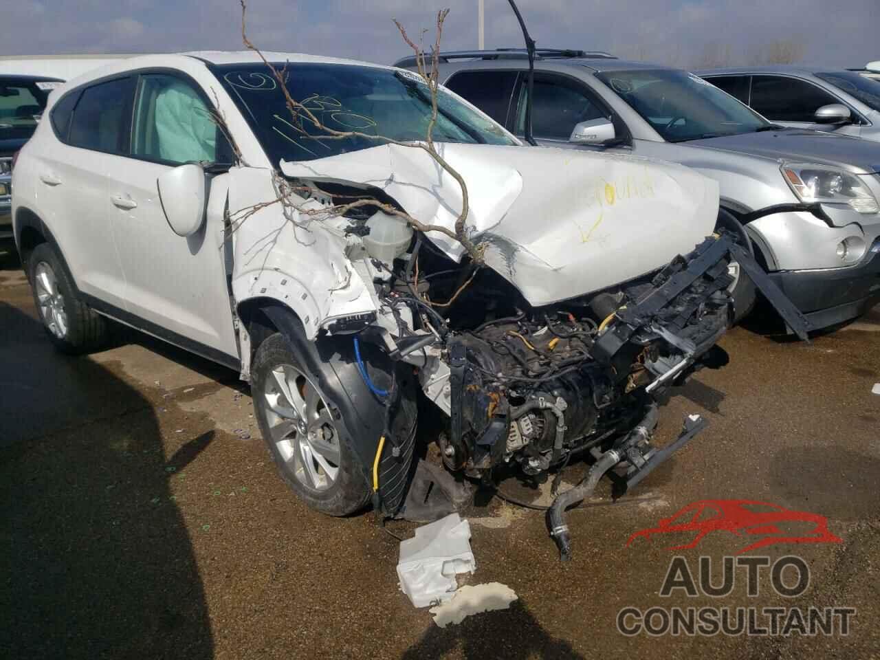 HYUNDAI TUCSON 2019 - KM8J2CA48KU840505