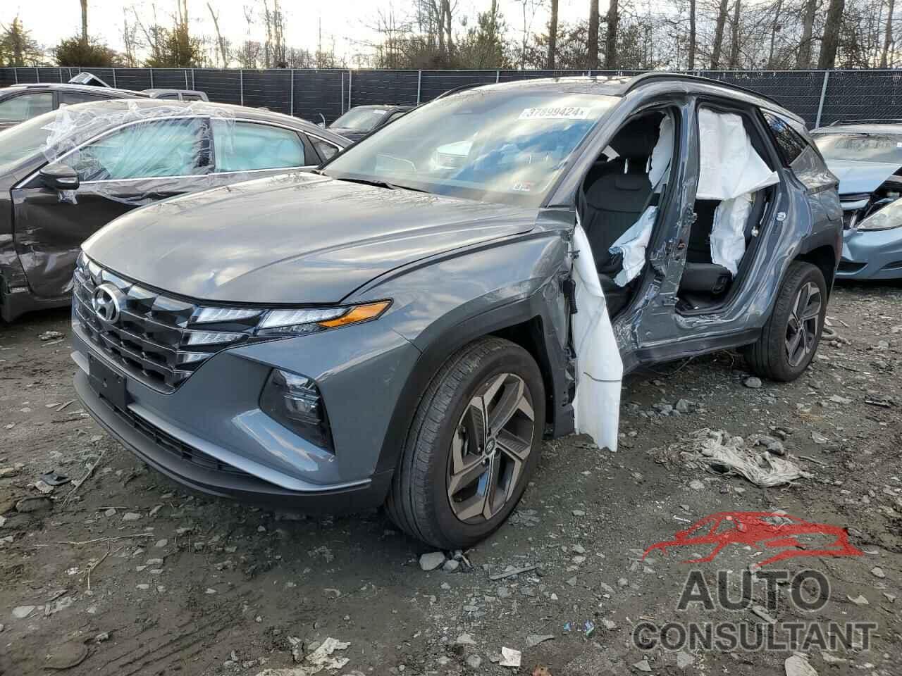 HYUNDAI TUCSON 2024 - 5NMJFCDE1RH302856