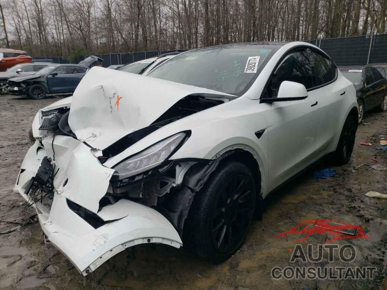 TESLA MODEL Y 2023 - 7SAYGDEE4PF606457