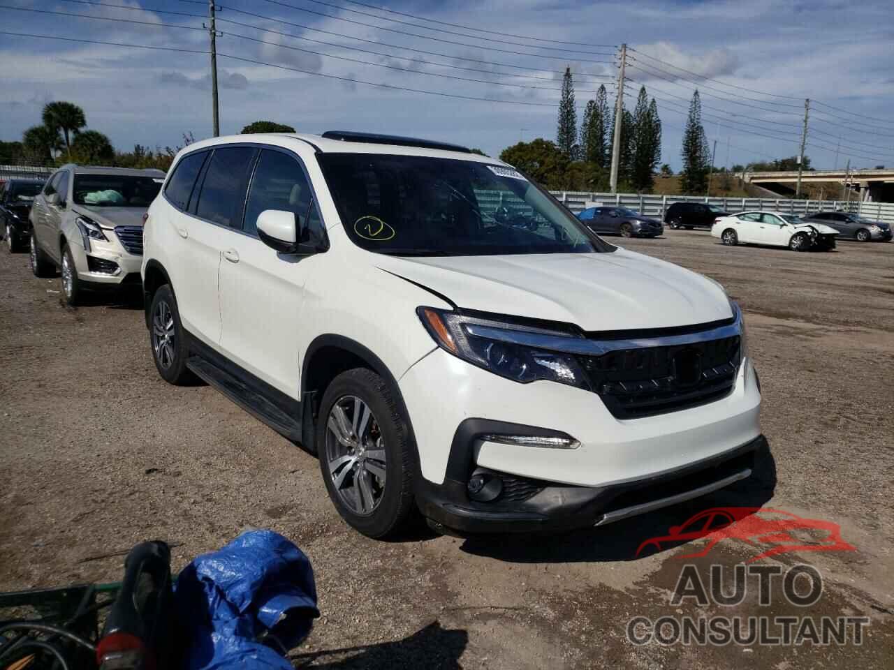 HONDA PILOT 2019 - 5FNYF5H54KB030055