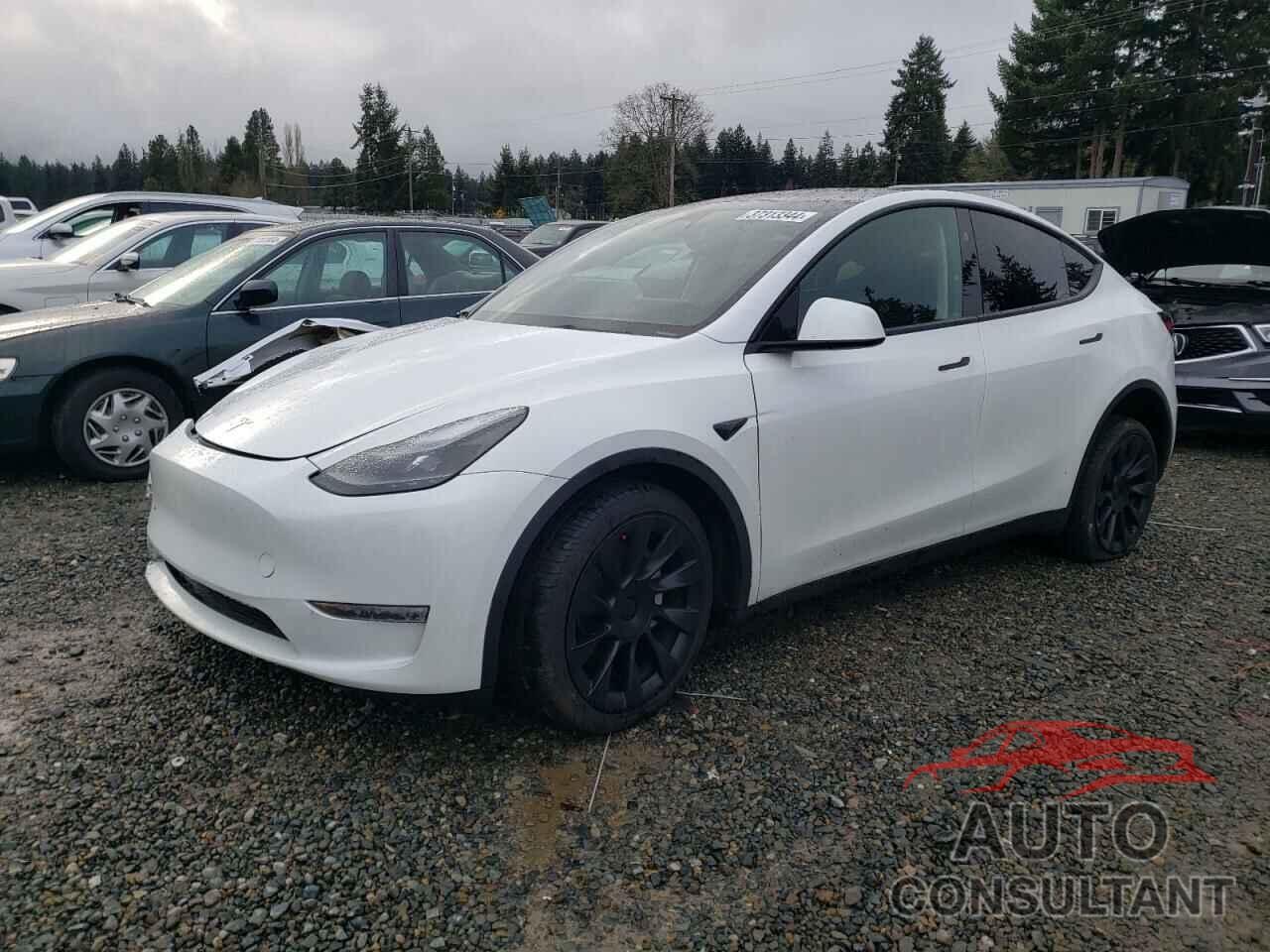 TESLA MODEL Y 2023 - 7SAYGDEE4PF807212