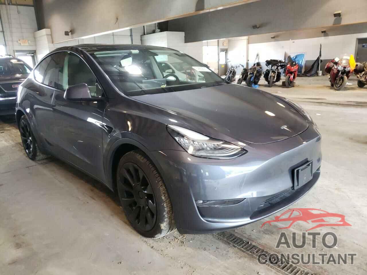 TESLA MODEL Y 2021 - 5YJYGDEE5MF119941