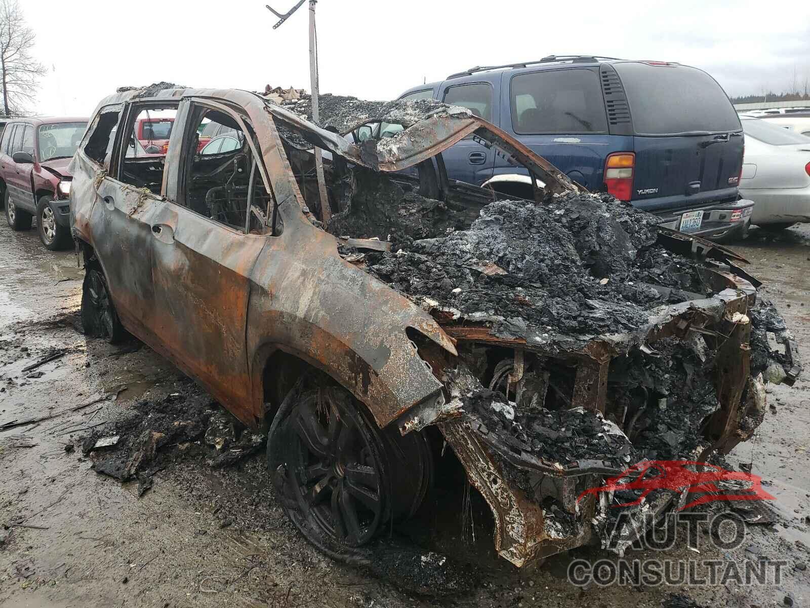 HONDA PILOT 2018 - 5NPD84LF4LH552223