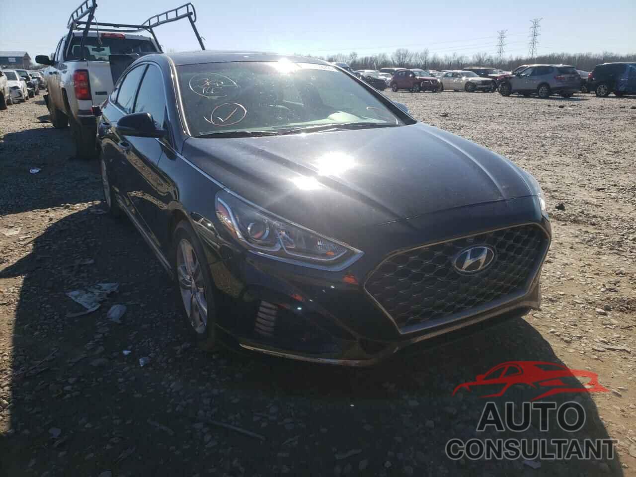 HYUNDAI SONATA 2018 - 5NPE34AF4JH617333
