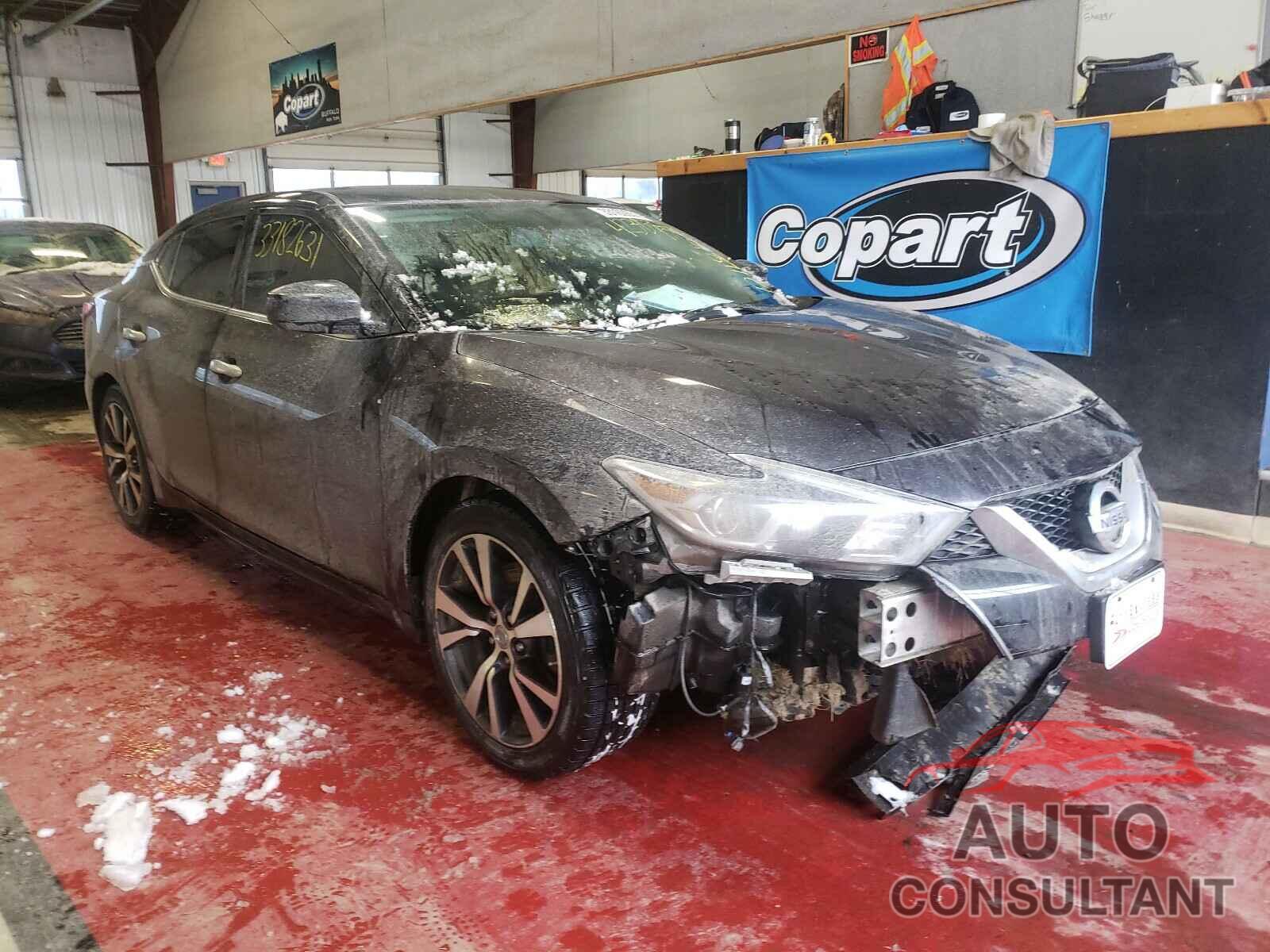 NISSAN MAXIMA 2016 - 1N4AA6AP2GC423953