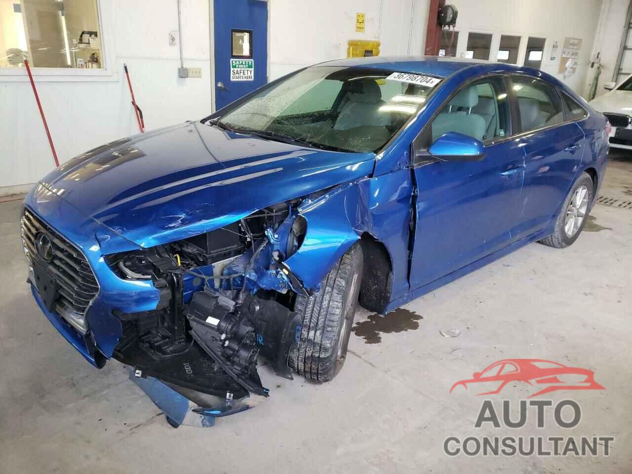 HYUNDAI SONATA 2019 - 5NPE24AF7KH773063