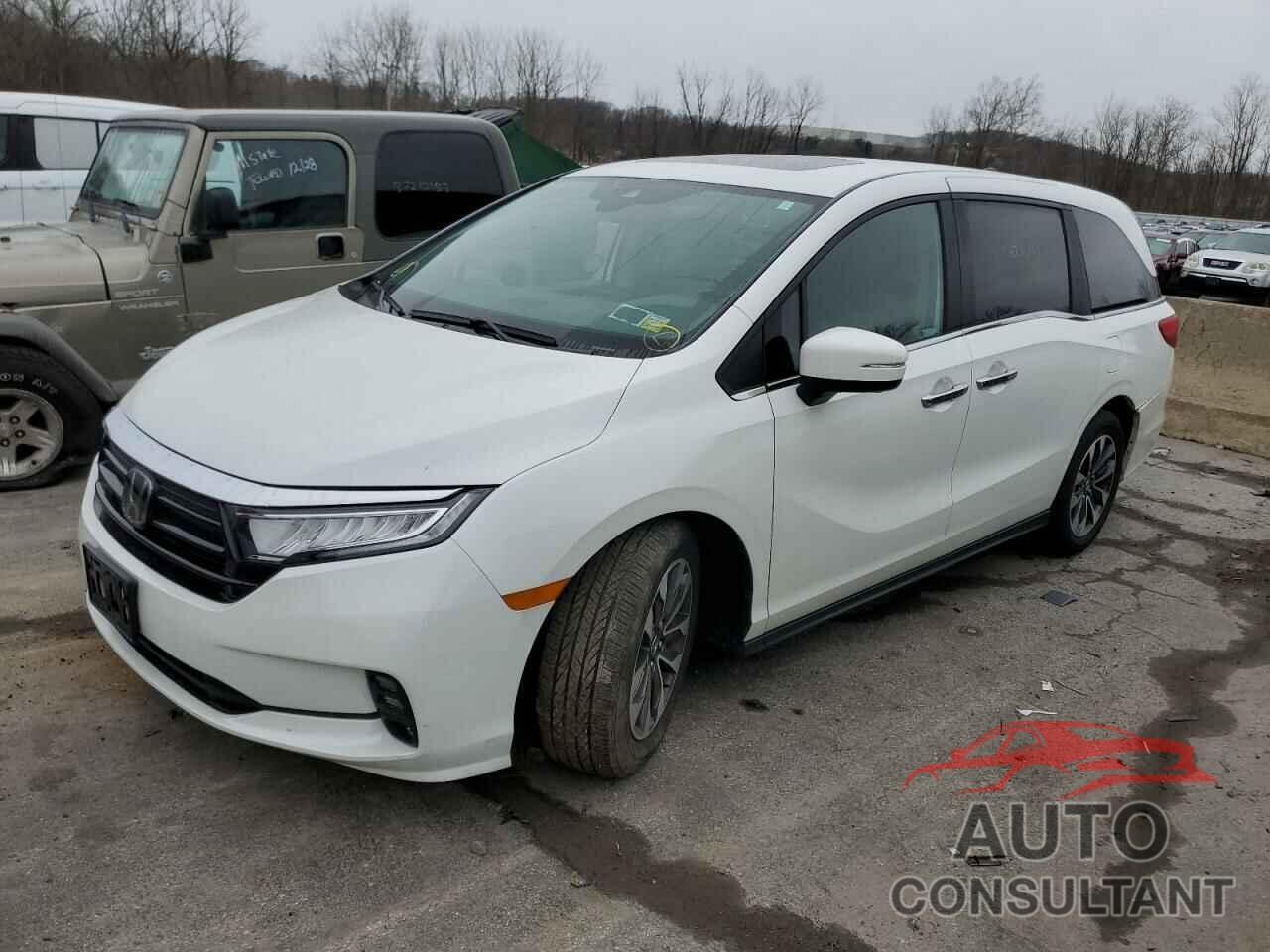 HONDA ODYSSEY 2022 - 5FNRL6H76NB021527