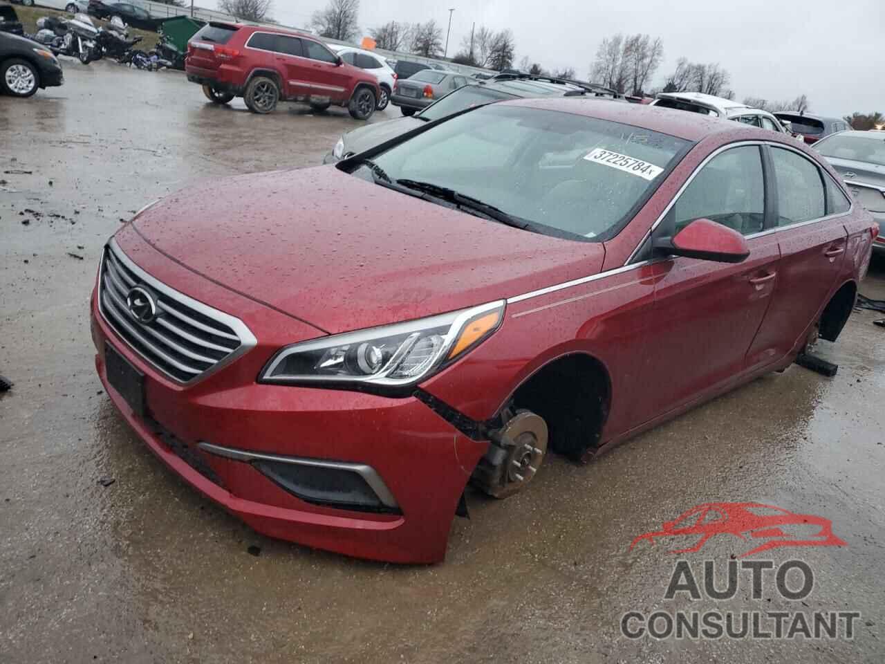 HYUNDAI SONATA 2016 - 5NPE24AF0GH430716
