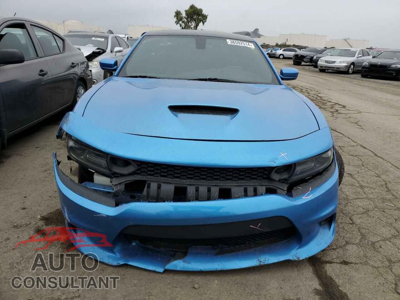 DODGE CHARGER 2016 - 2C3CDXGJ3GH199757