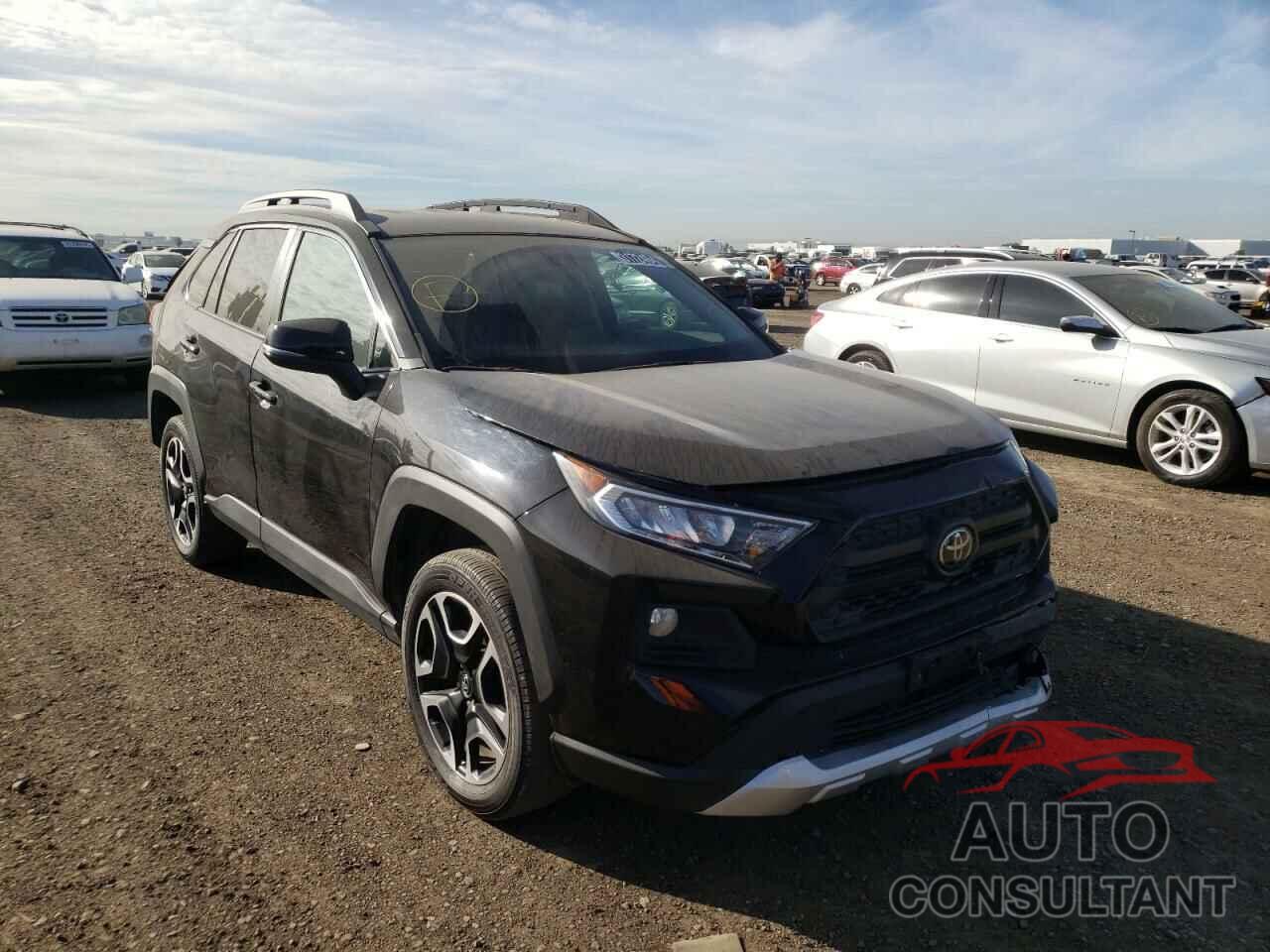 TOYOTA RAV4 2019 - 2T3J1RFV2KW029863