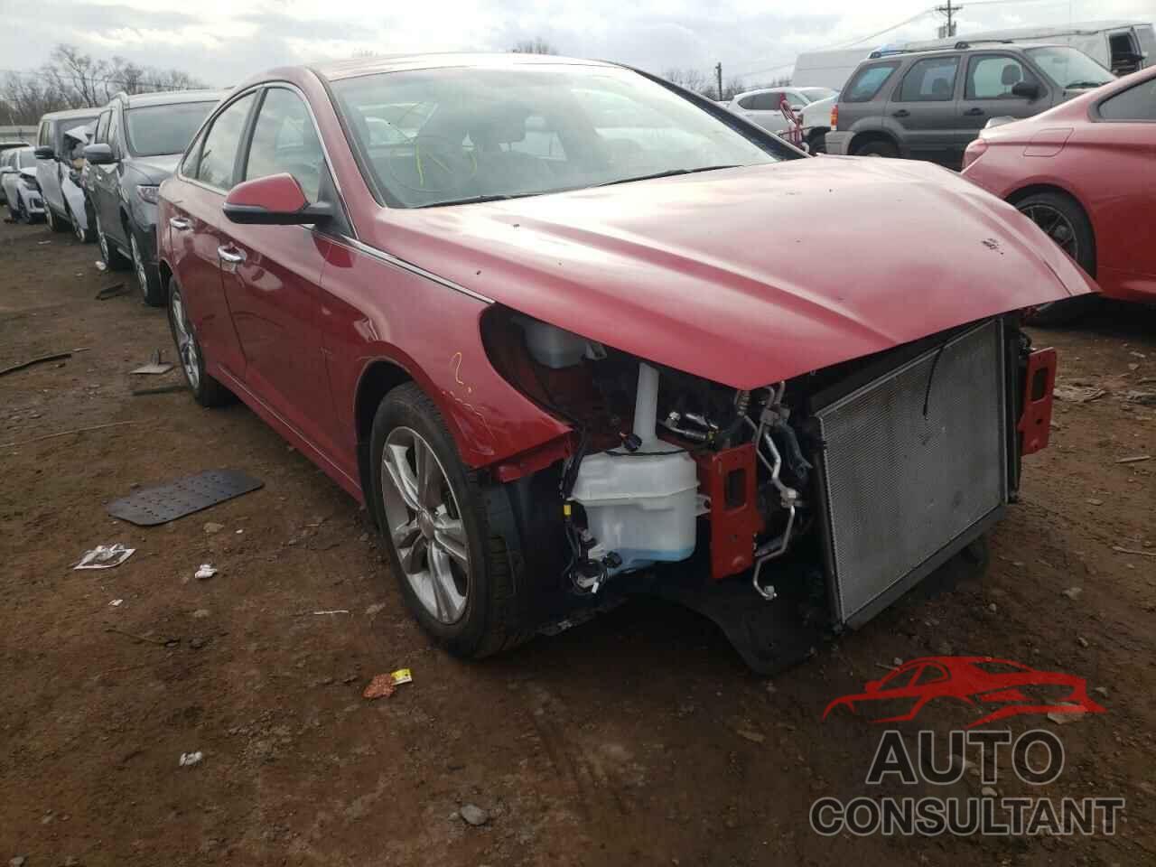 HYUNDAI SONATA 2018 - 5NPE34AF6JH647272