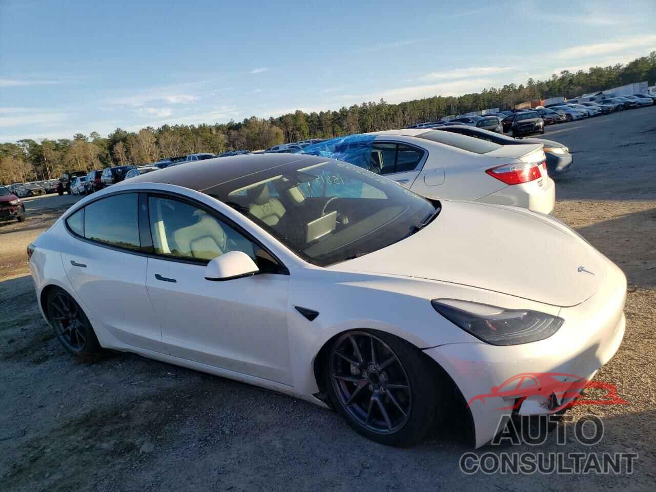 TESLA MODEL 3 2021 - 5YJ3E1EA1MF914805