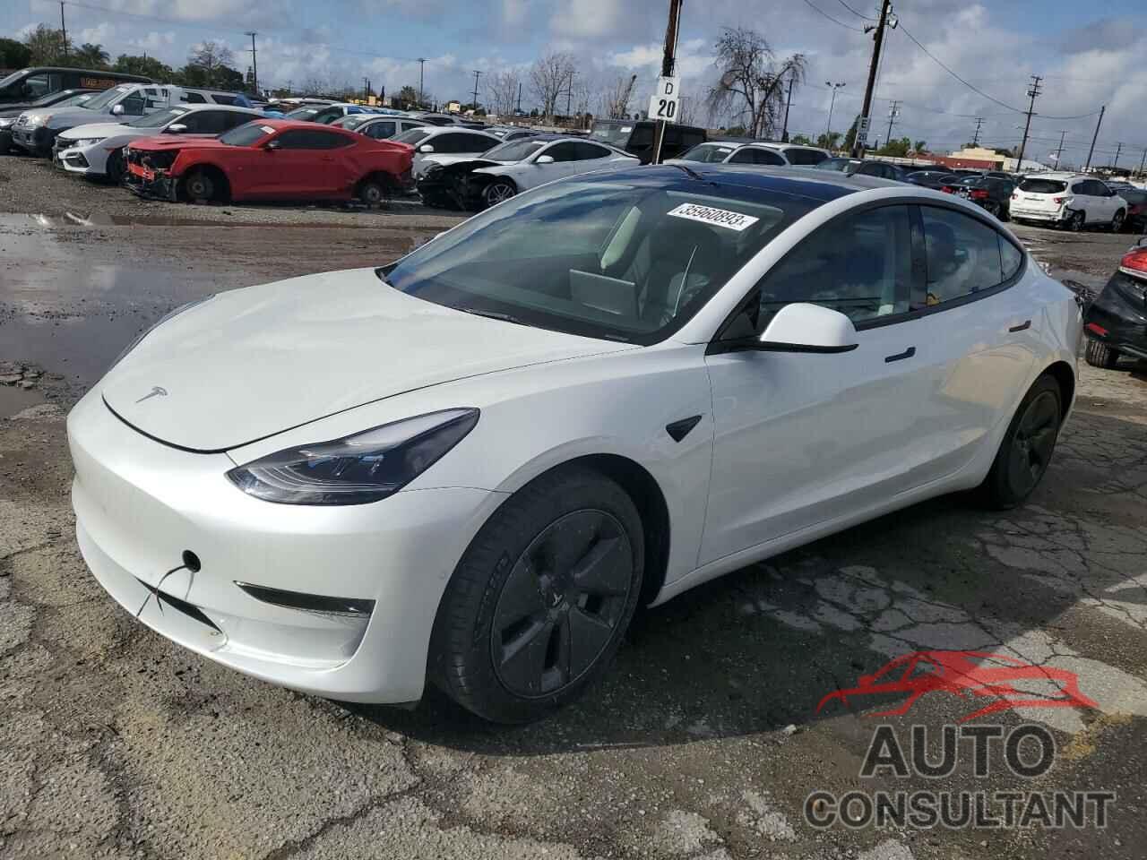 TESLA MODEL 3 2021 - 5YJ3E1EA7MF097047