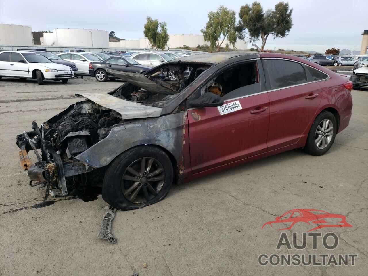 HYUNDAI SONATA 2016 - 5NPE24AFXGH346015