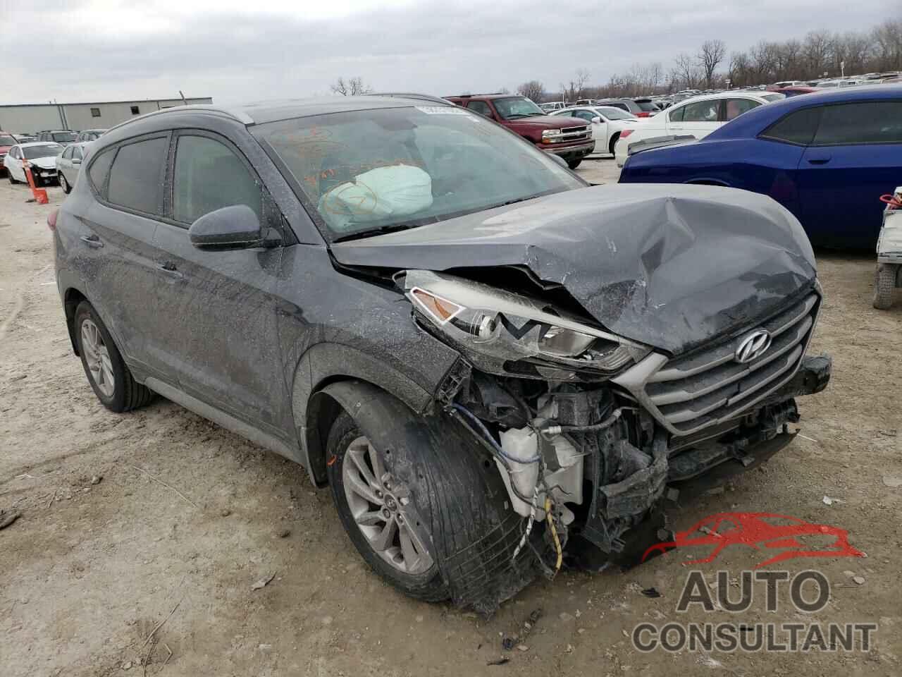 HYUNDAI TUCSON 2017 - KM8J33A41HU343656