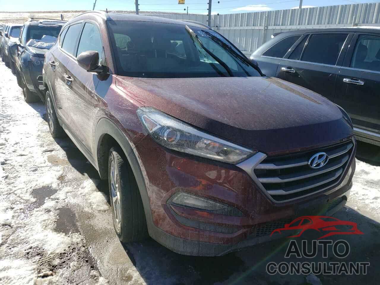 HYUNDAI TUCSON 2017 - KM8J3CA49HU387968