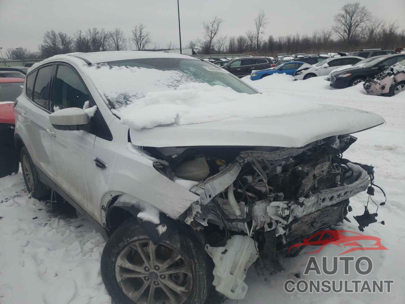FORD ESCAPE 2017 - 1FMCU9GD2HUE49145