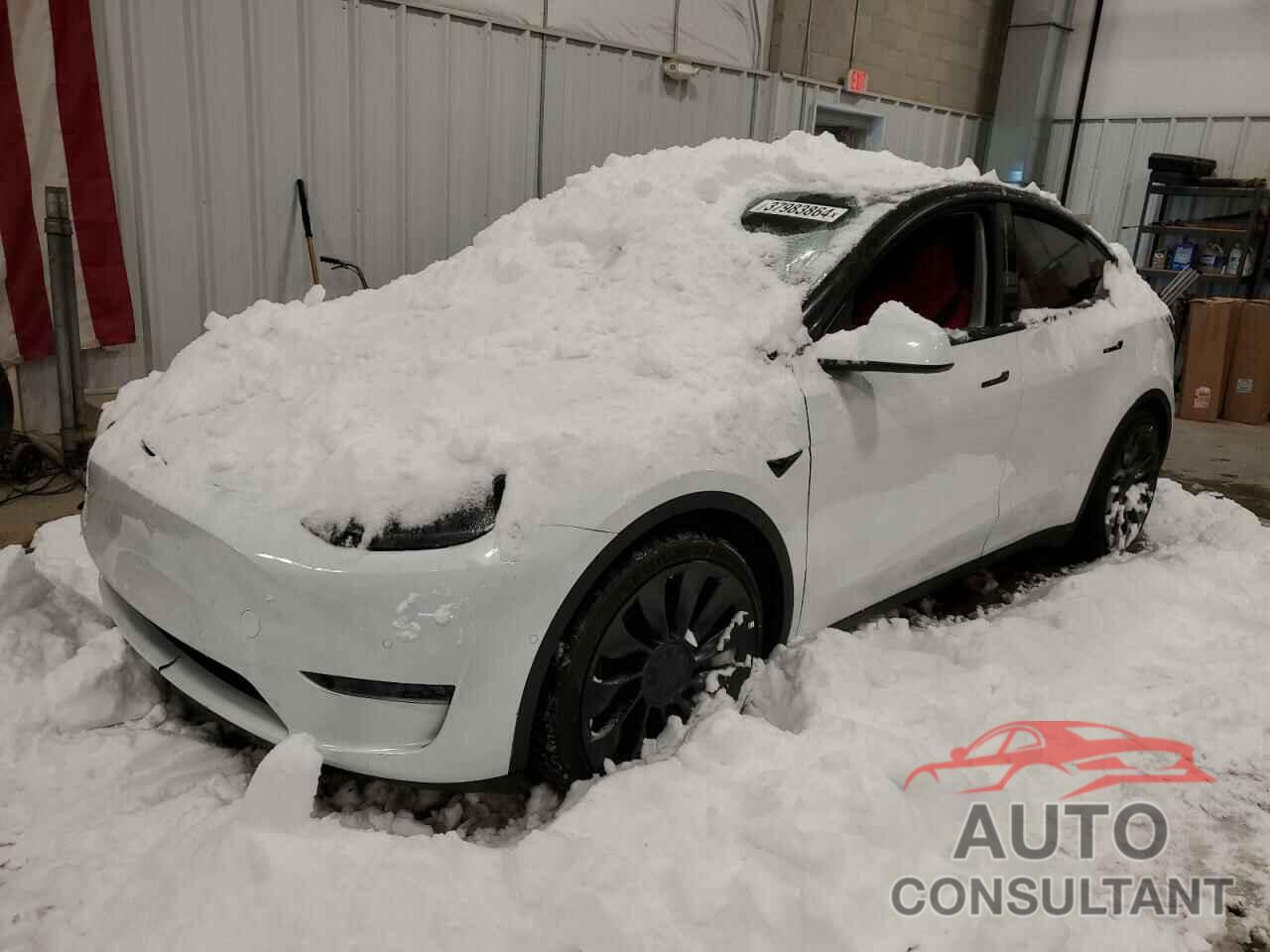 TESLA MODEL Y 2022 - 7SAYGDEF6NF465509