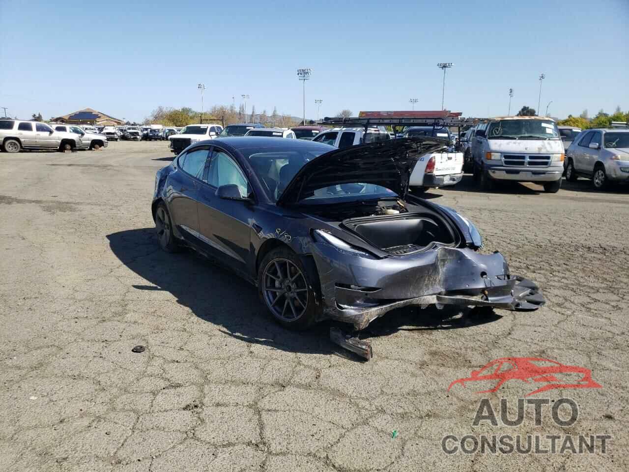 TESLA MODEL 3 2021 - 5YJ3E1EA2MF075246