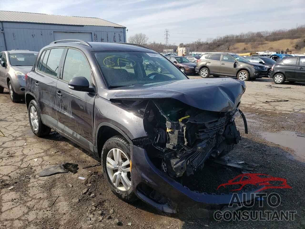 VOLKSWAGEN TIGUAN 2016 - WVGBV7AX2GW553413