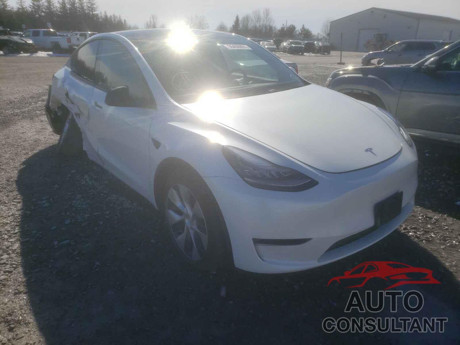TESLA MODEL Y 2020 - 5YJYGDEE9LF031392