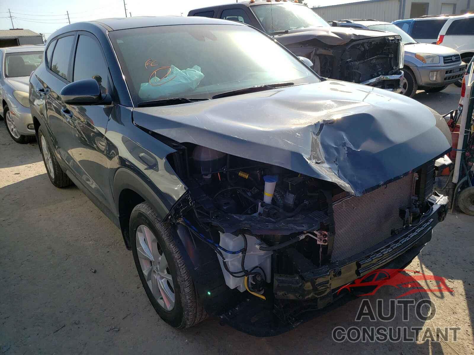 HYUNDAI TUCSON 2019 - KM8J23A47KU057286