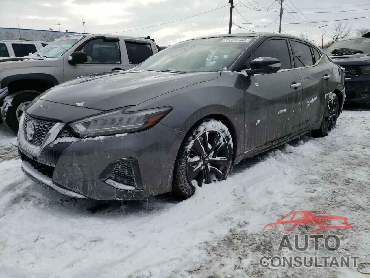 NISSAN MAXIMA 2019 - 1N4AA6AV8KC364298