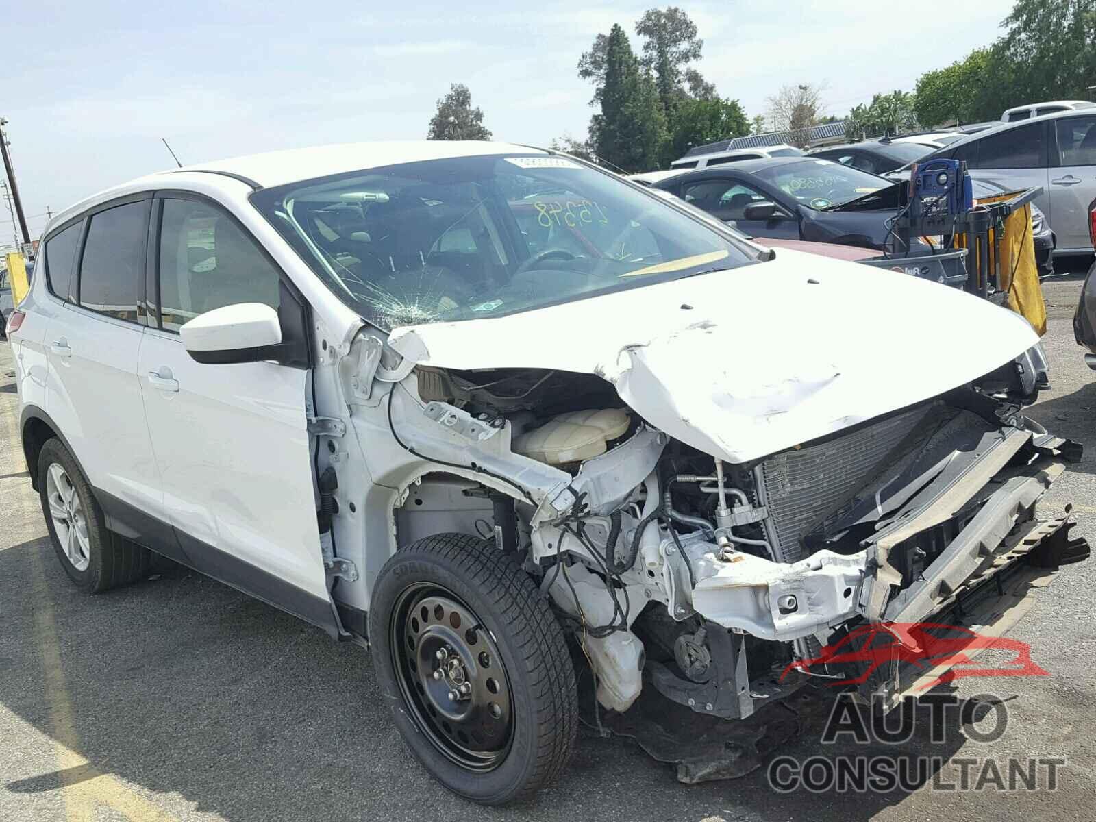 FORD ESCAPE 2016 - 1FMCU0G72GUC28391
