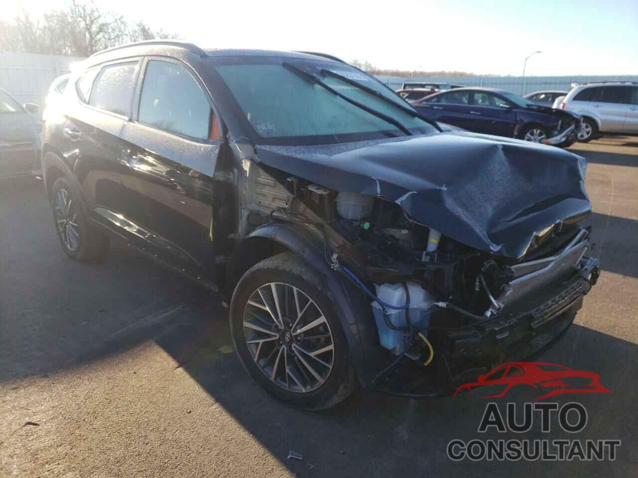 HYUNDAI TUCSON 2019 - KM8J3CAL2KU867719