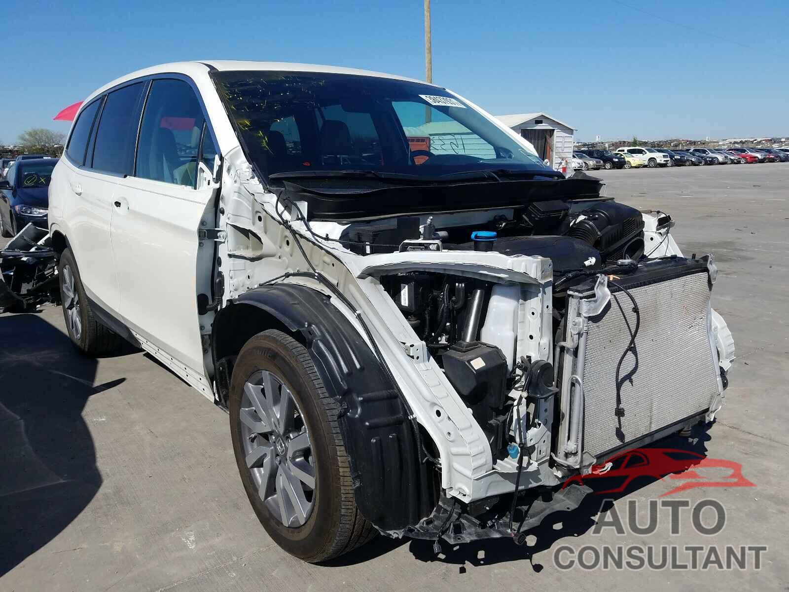 HONDA PILOT 2019 - 5FNYF5H55KB036690