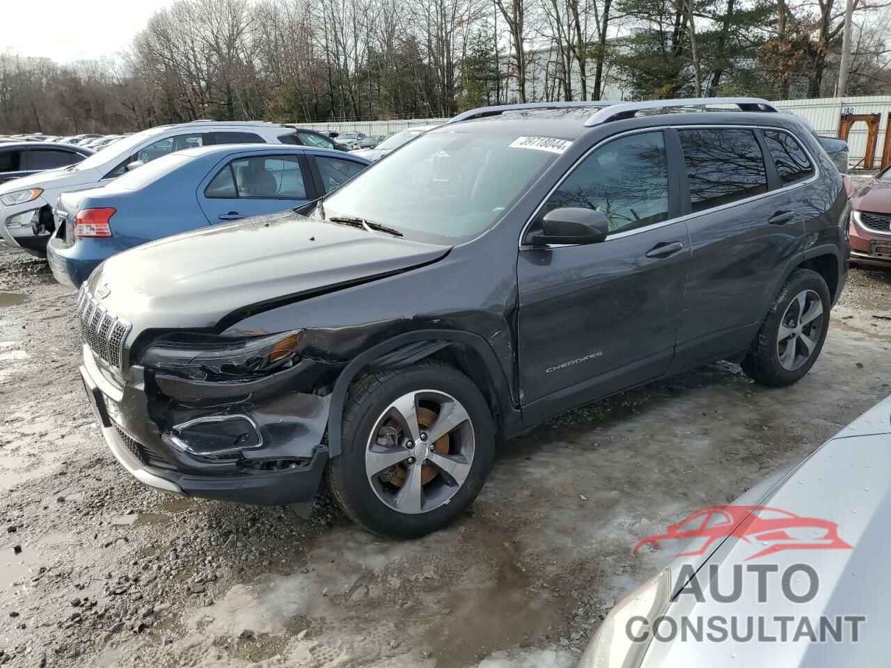JEEP GRAND CHER 2019 - 1C4PJMDX6KD456168