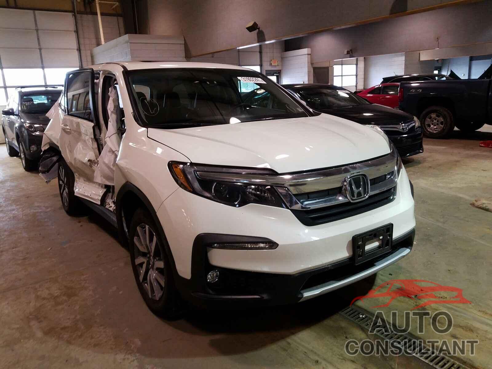HONDA PILOT 2019 - 5FNYF6H43KB042873