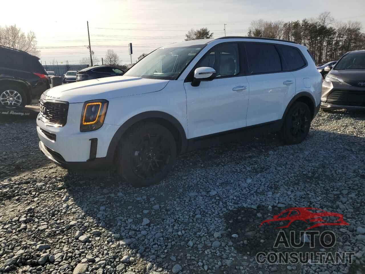 KIA TELLURIDE 2022 - 5XYP3DHC1NG310011