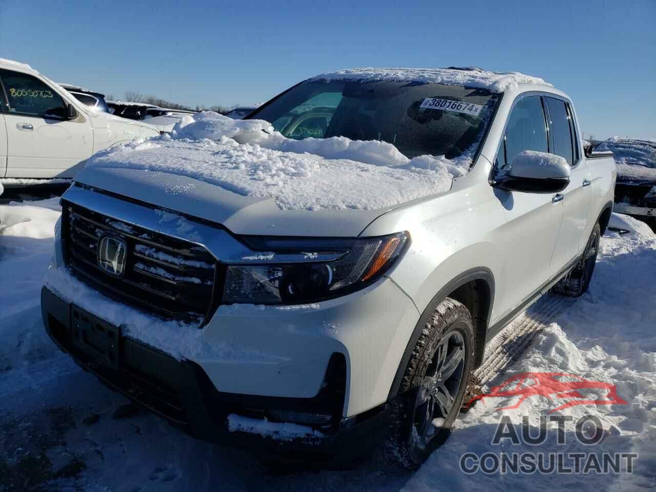 HONDA RIDGELINE 2022 - 5FPYK3F75NB025348