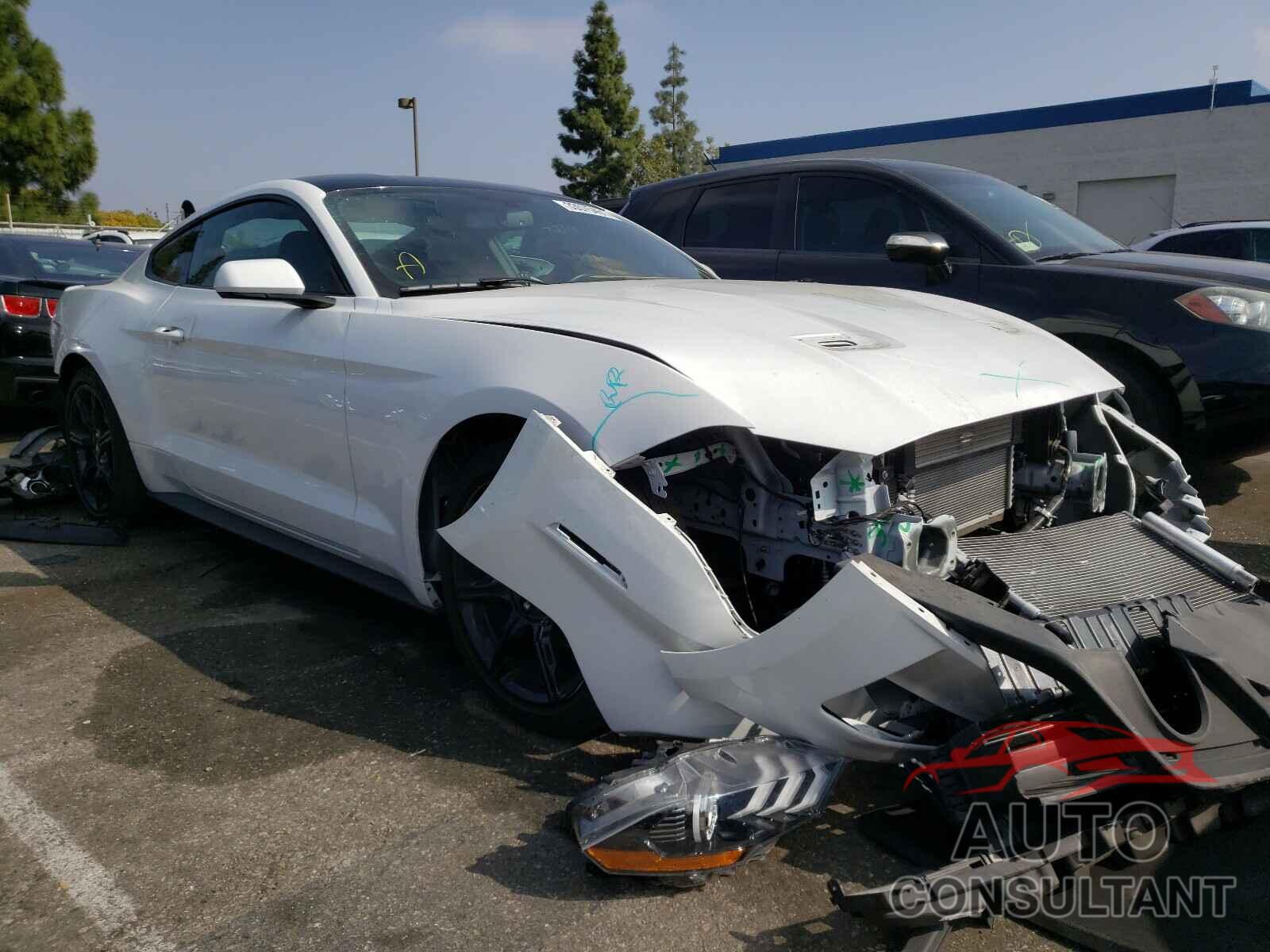 FORD MUSTANG 2019 - 1FA6P8TH8K5175467