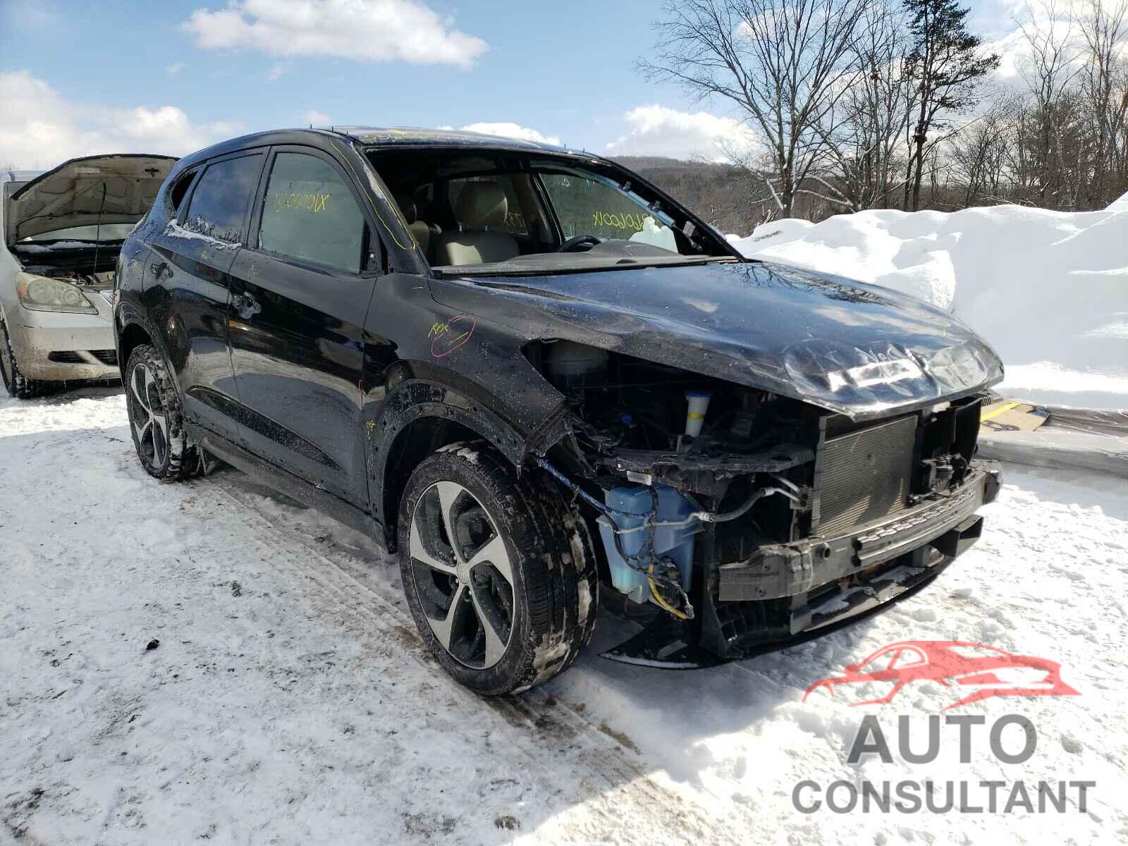 HYUNDAI TUCSON 2016 - KM8J3CA24GU035300