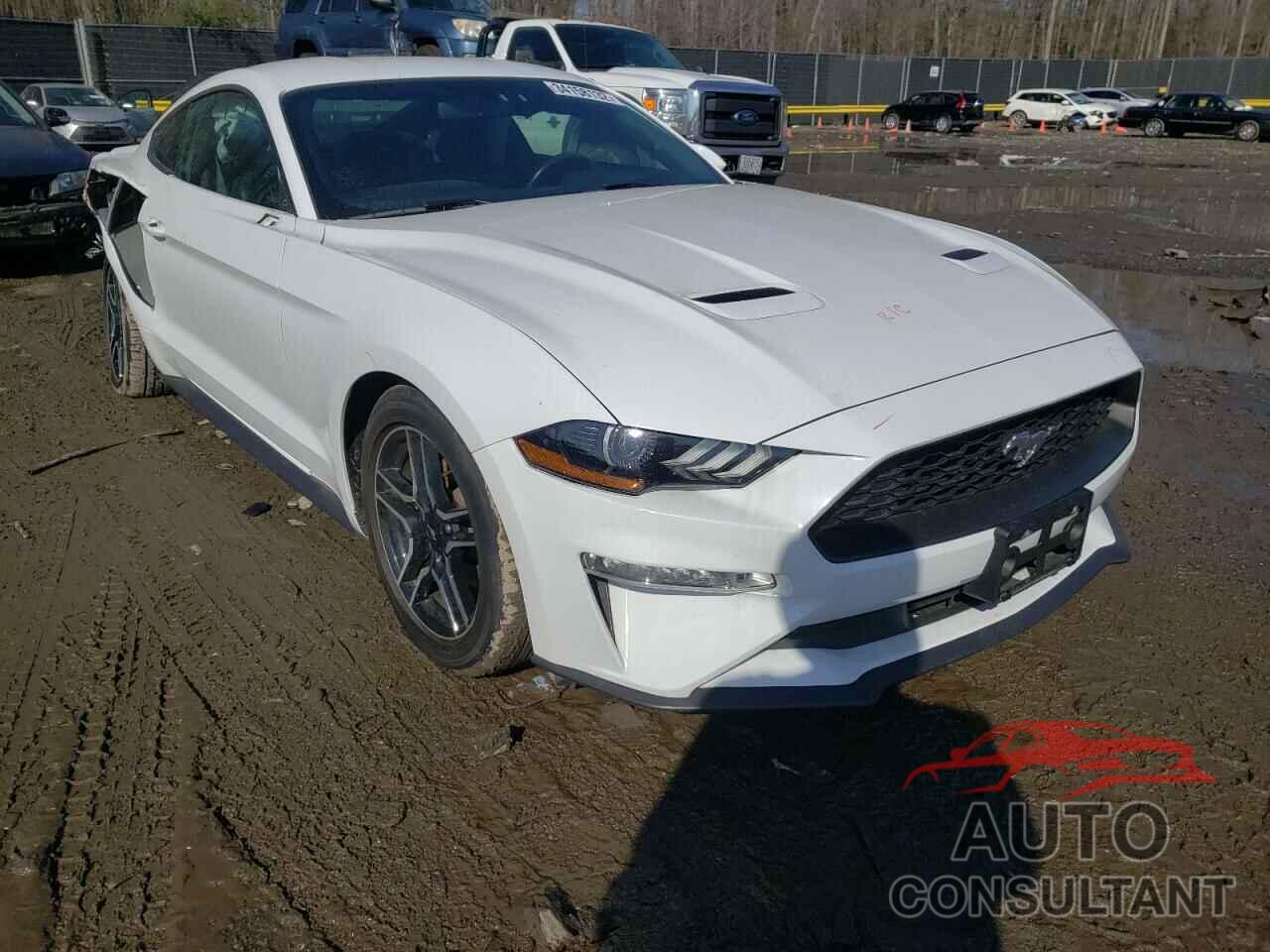 FORD MUSTANG 2019 - 1FA6P8THXK5189953