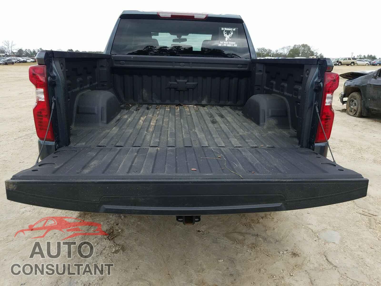 CHEVROLET SILVERADO 2020 - 3GCUYAEF1LG389471