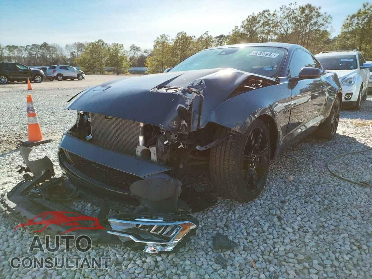 FORD MUSTANG 2019 - 1FA6P8CF1K5134046