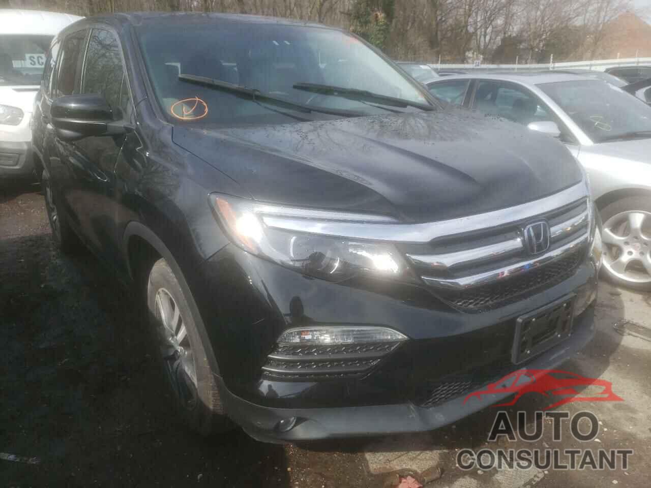 HONDA PILOT 2017 - 5FNYF6H55HB082244