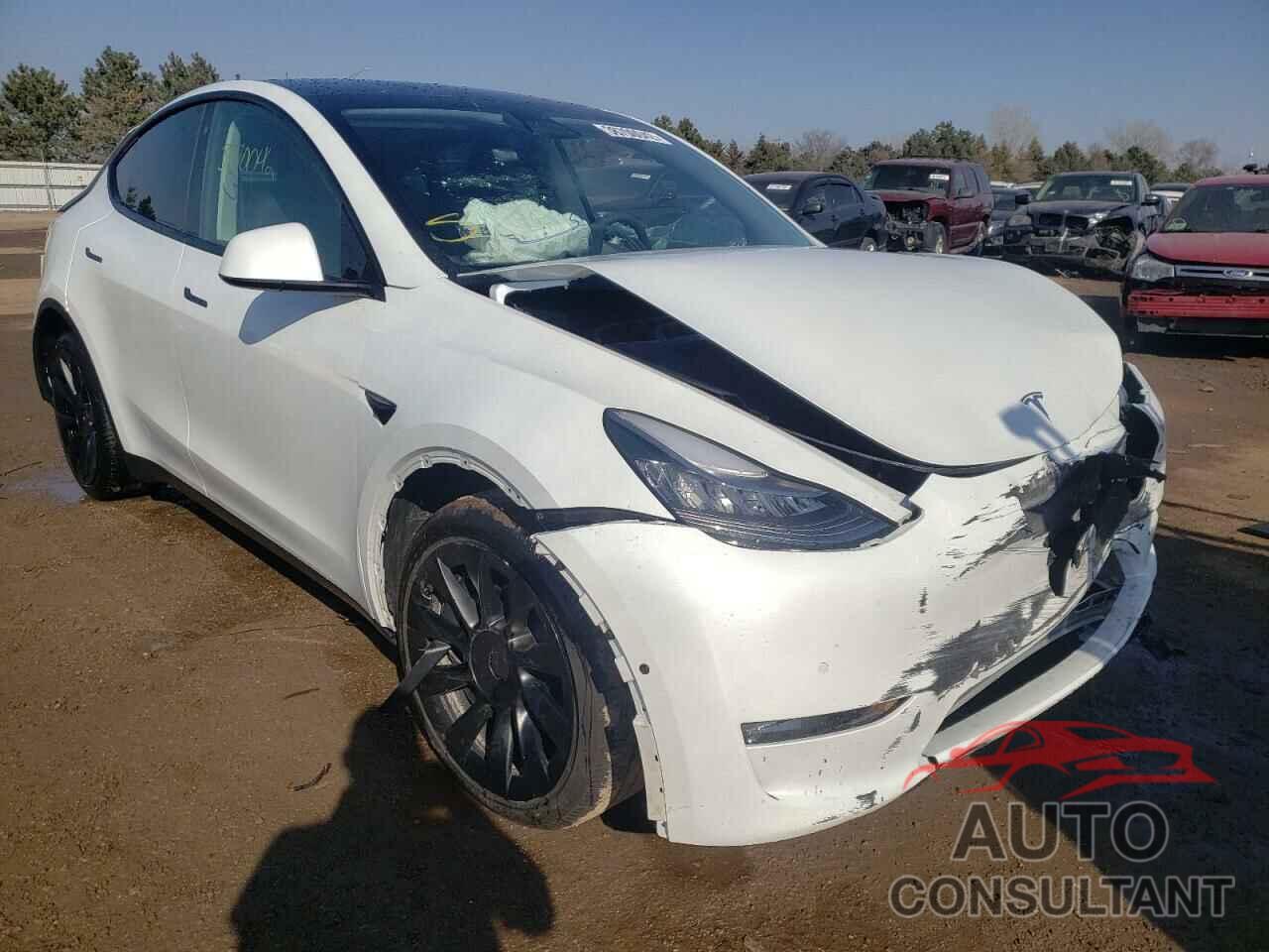 TESLA MODEL Y 2021 - 5YJYGDEE3MF100286