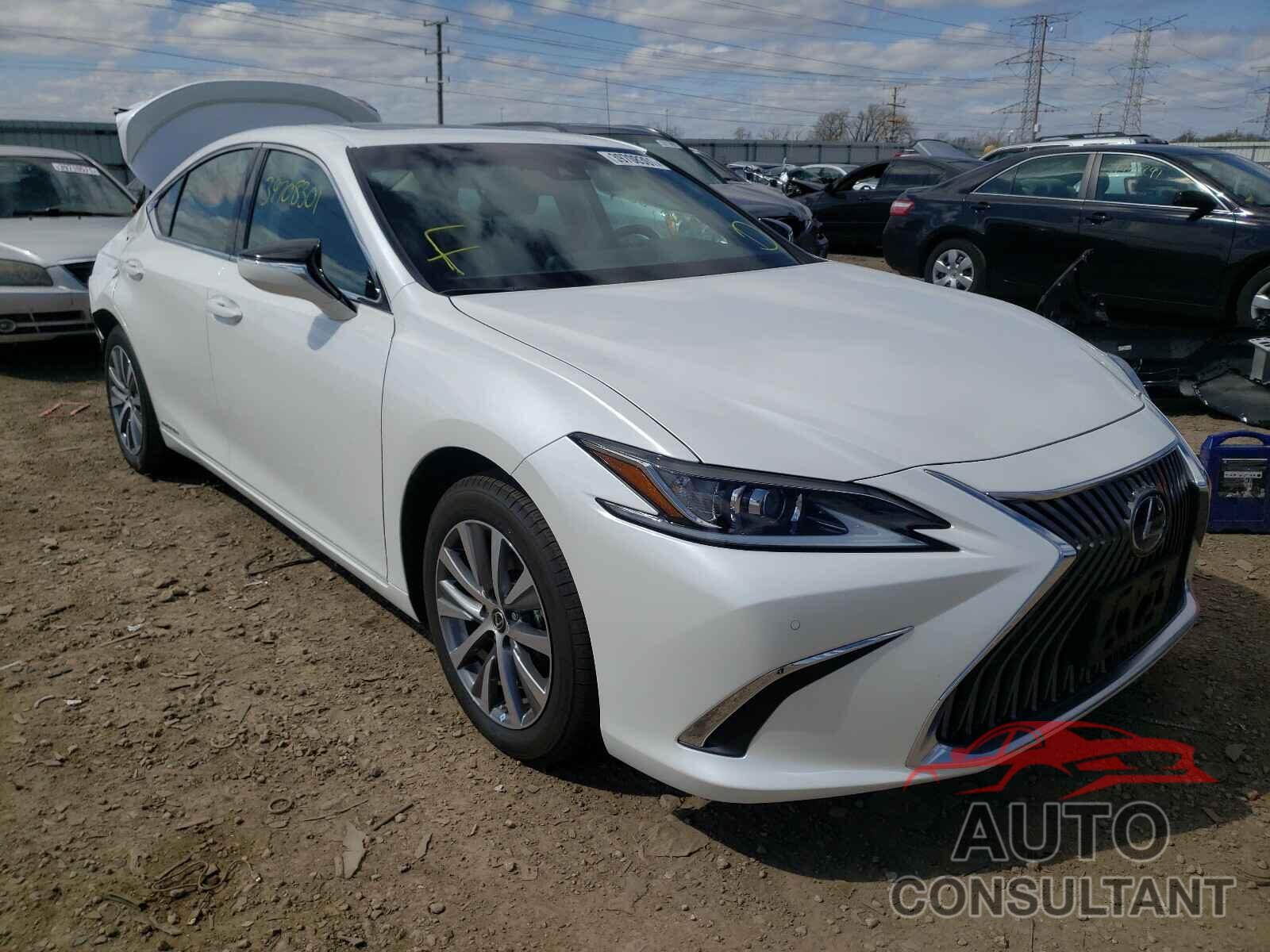 LEXUS ES300 2021 - 58ADA1C17MU002145