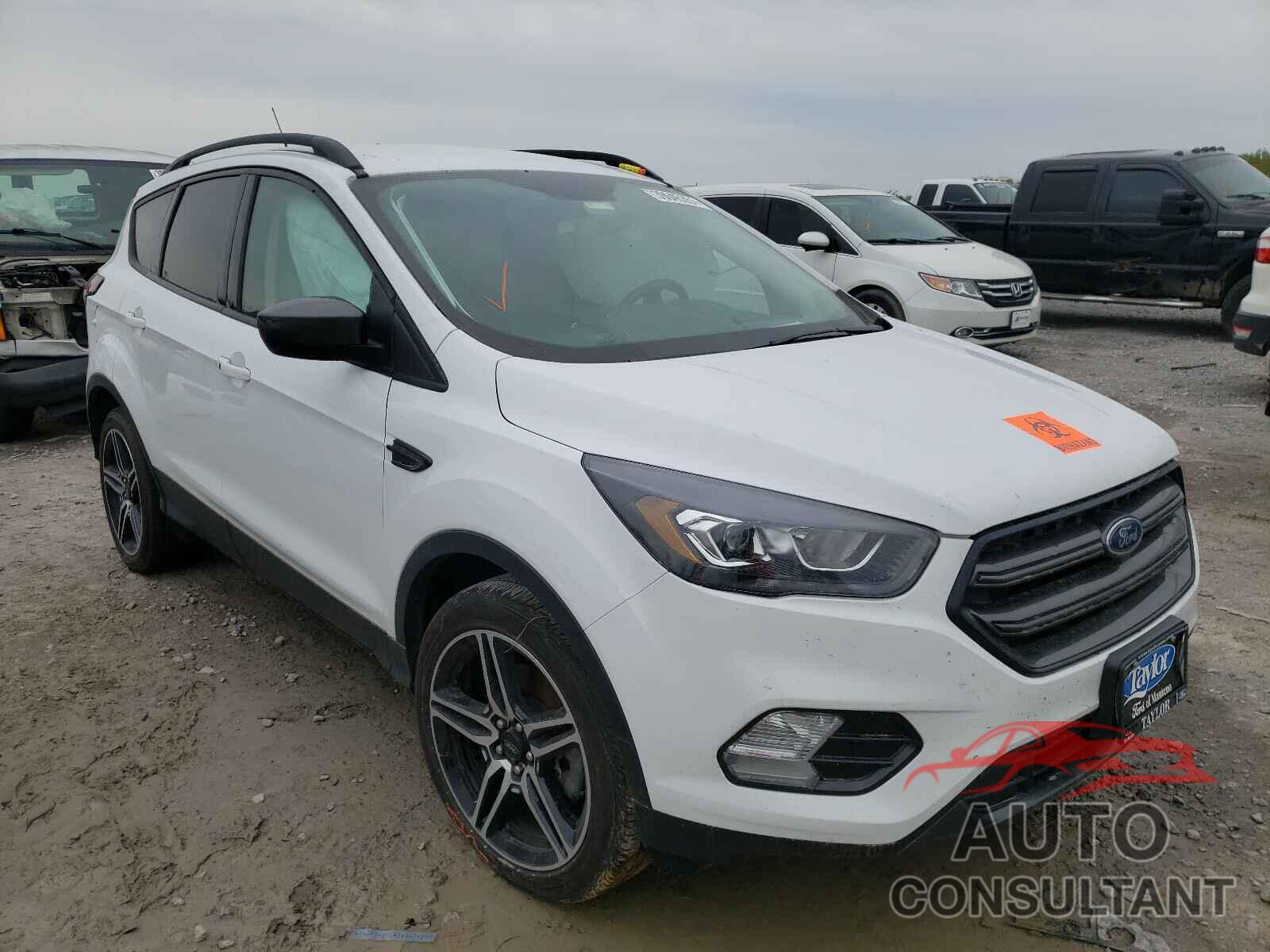 FORD ESCAPE 2019 - 1FMCU9HD1KUB50865